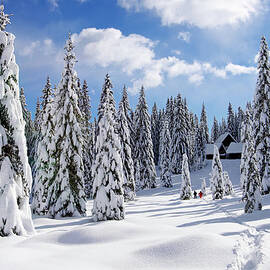 Winter Landscape by Mistikas