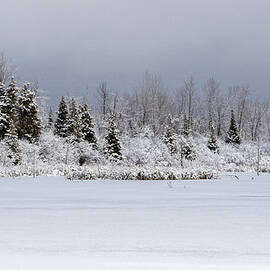 Winter Landscape by Marianna Armata