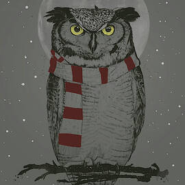 Winter owl by Balazs Solti