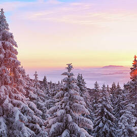 Winter Sunrise by Borchee