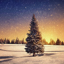 Winter Sunset by Borchee