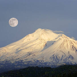 Winter View Of Mt. Shasta, In Northern by Diane Miller