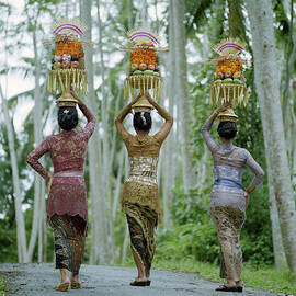 Women Carrying Temple Offerings by Martin Puddy