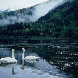 Wrangell St Elias Np, Alaska by Bernd Rommelt