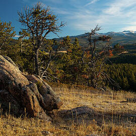 Wyomings Bighorn National Forest by Megan Ahrens