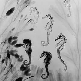 X-ray Seahorses by Edward Charles Le Grice