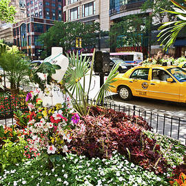 Yellow Cab In Front Of Garden by Stefano Amantini