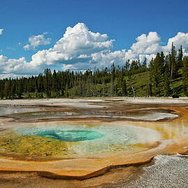 Yellowstone Geothermal Landscape by Megan Ahrens