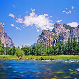 Yosemite National Park by Ron thomas