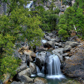 Yosemite Roadside Treasures by Rmb Images Photography By Robert Bowman