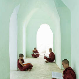 Young Buddhist Monks Reading In Temple by Martin Puddy