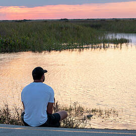 Young Man Admiring View Of The Everglades by Laura Diez