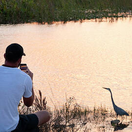 Young Man Taking Photo With Cell Phone Of The Great Blue Heron At The Everglades by Laura Diez