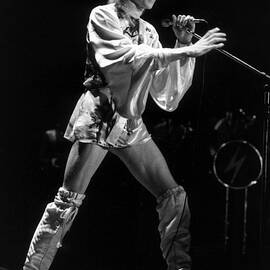 Ziggy by Steve Wood