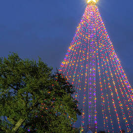 Zilker Holiday Tree by Slow Fuse Photography