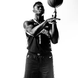 Zion Williamson by Sean Berry