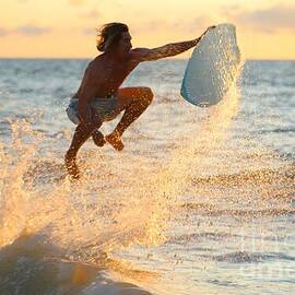 7633 by Donn Ingemie