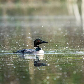Afternoon Delight by James Overesch