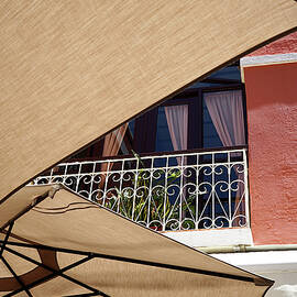 Anticipation by Richard Reeve