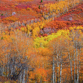 Aspen Fire by Abbie Matthews
