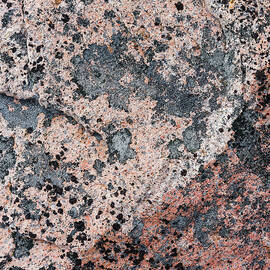 Atlantic Coast Abstract by Shankar Adiseshan