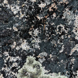 Atlantic Coastline by Shankar Adiseshan