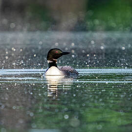 Aurora by James Overesch