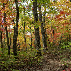 Autumn Hiking on the Cumberland Plateau by Cascade Colors