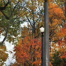 Autumn In Niagra by Rebecca Herranen