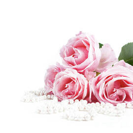 Beautiful pastel pink roses bunch and elegant bridal pearls isol by Jelena Jovanovic