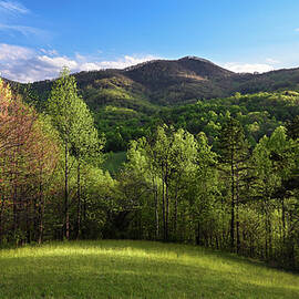 Blue Ridge Meadow by Steven Nelson