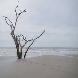 Boneyard Beach 4 by Cindy Robinson
