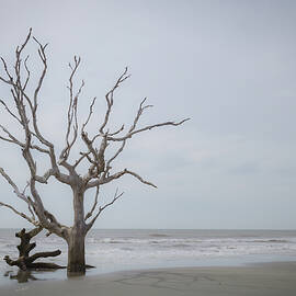 Boneyard Beach 6 by Cindy Robinson