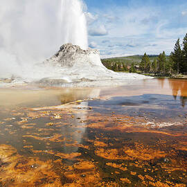 Castle Geyser, Yellowstone national park, Wyoming, USA by Neale And Judith Clark