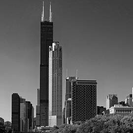 Chicago skyline from Chicago river by Shankar Adiseshan
