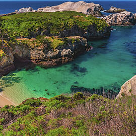 China Cove and Bird Island, Point Lobos, California by Abbie Warnock