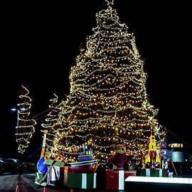 Christmas Tree by Louis Dallara