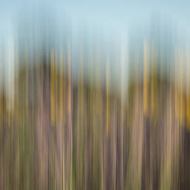 Dance of Nature 2 by Charnwood Photography Fine Art