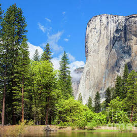 El Capitan, Yosemite National Park, California, USA by Neale And Judith Clark