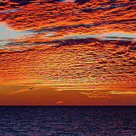 Epic Sunsets Mazatlan Sinaloa Mexico by Tommy Farnsworth