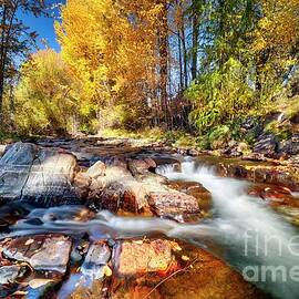 Fall Colors by Thomas Nay