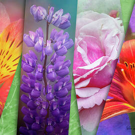 Flower Montage
