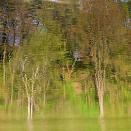 Fluid Impressions by Shankar Adiseshan