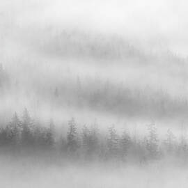 Fog by Ursula Abresch