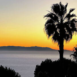 1 island 2 palms by Joe Schofield