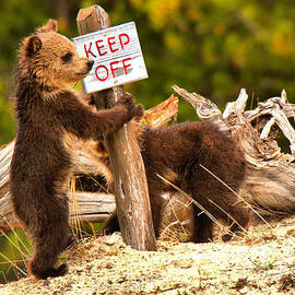 Keep Off Mask by Adam Jewell