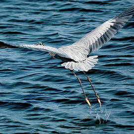 Lift-off by Joe Schofield
