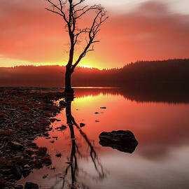 Loch Ard Sunrise by Grant Glendinning