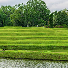 Middleton Plantation Landscape by Louis Dallara