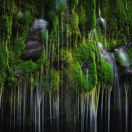 Mossbrae Falls Close Up, California by Abbie Matthews